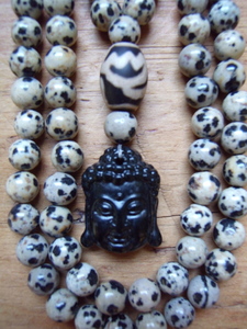Dalmation Jasper and Jade Mala
